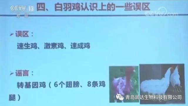 肉鸡是激素催生的？尚有多同党多条腿的变异鸡？真相在这里