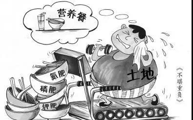 鸡粪猪粪要成废物了，农业农村部推进有机肥替换化肥行动