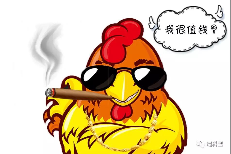 鸡苗云云高价钱下，怎样做好鸡雏的净化防控与治理？