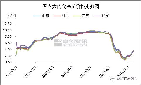 鸡苗价钱触底反弹，养殖本钱再度走高