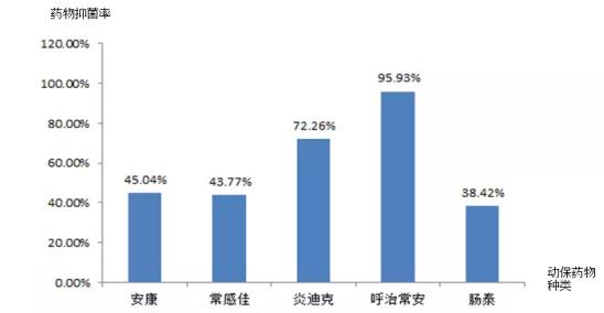 临床主要敏感动保药物
