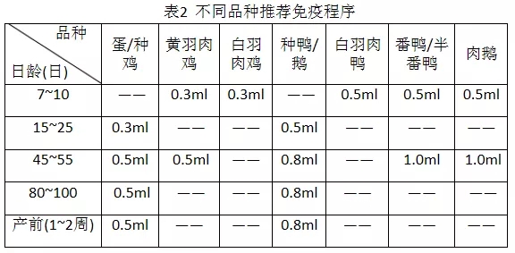 差别品种免疫程序参考