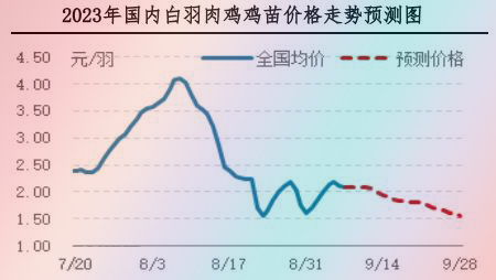 肉鸡市场行情汇总