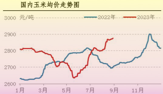 8月肉鸡市场行情剖析及9月行情展望