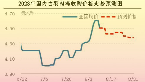 肉鸡市场行情汇总