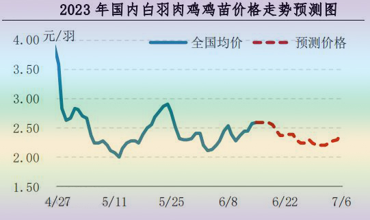 肉鸡市场行情汇总