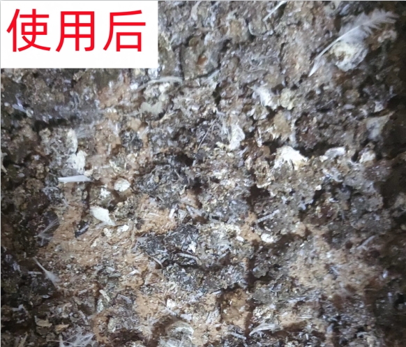  养殖科普||您真的相识益生源吗？