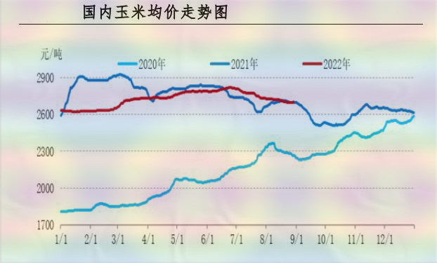 玉米