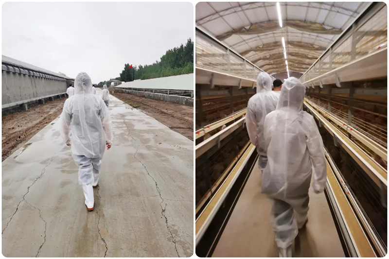 热烈接待泰国客户莅临诸侯快讯生物旅行考察