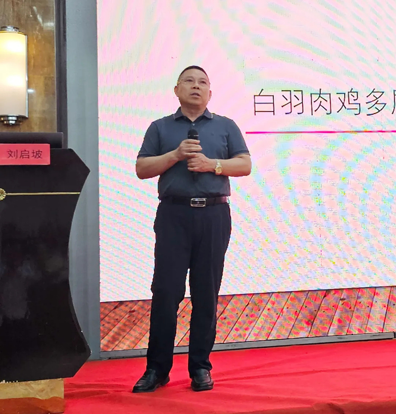 |诸侯快讯生物白羽肉鸡欧指提升专题钻研会（瓦房店专。┰猜淠